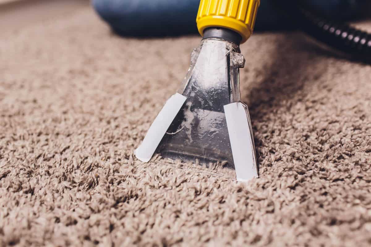 Best solution to clean carpets - Fortador