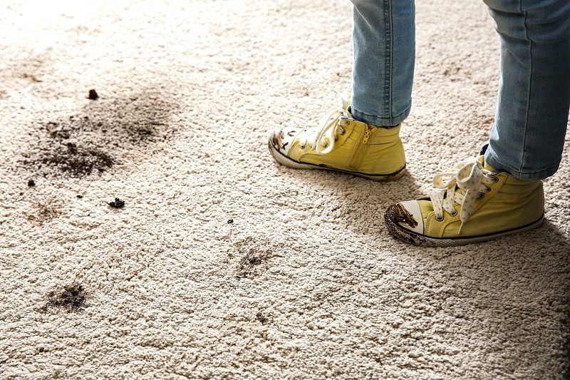 Removal of dirt from carpet fibers