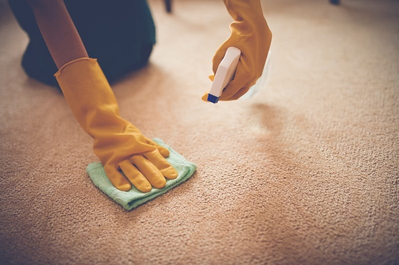 Right homemade carpet stain remover